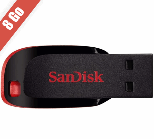 Sandisk8Go